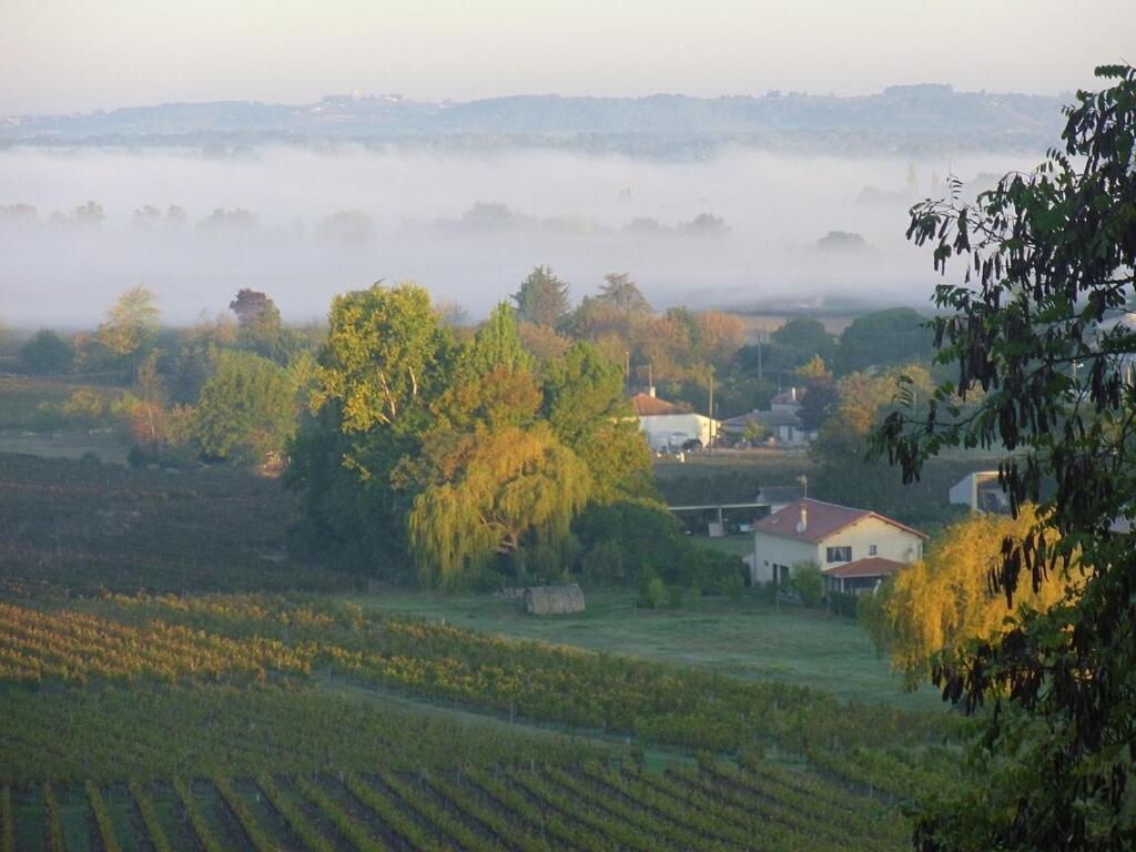 Romantic Gite Nr St Emilion With Private Pool And Views To Die For Pujols  المظهر الخارجي الصورة