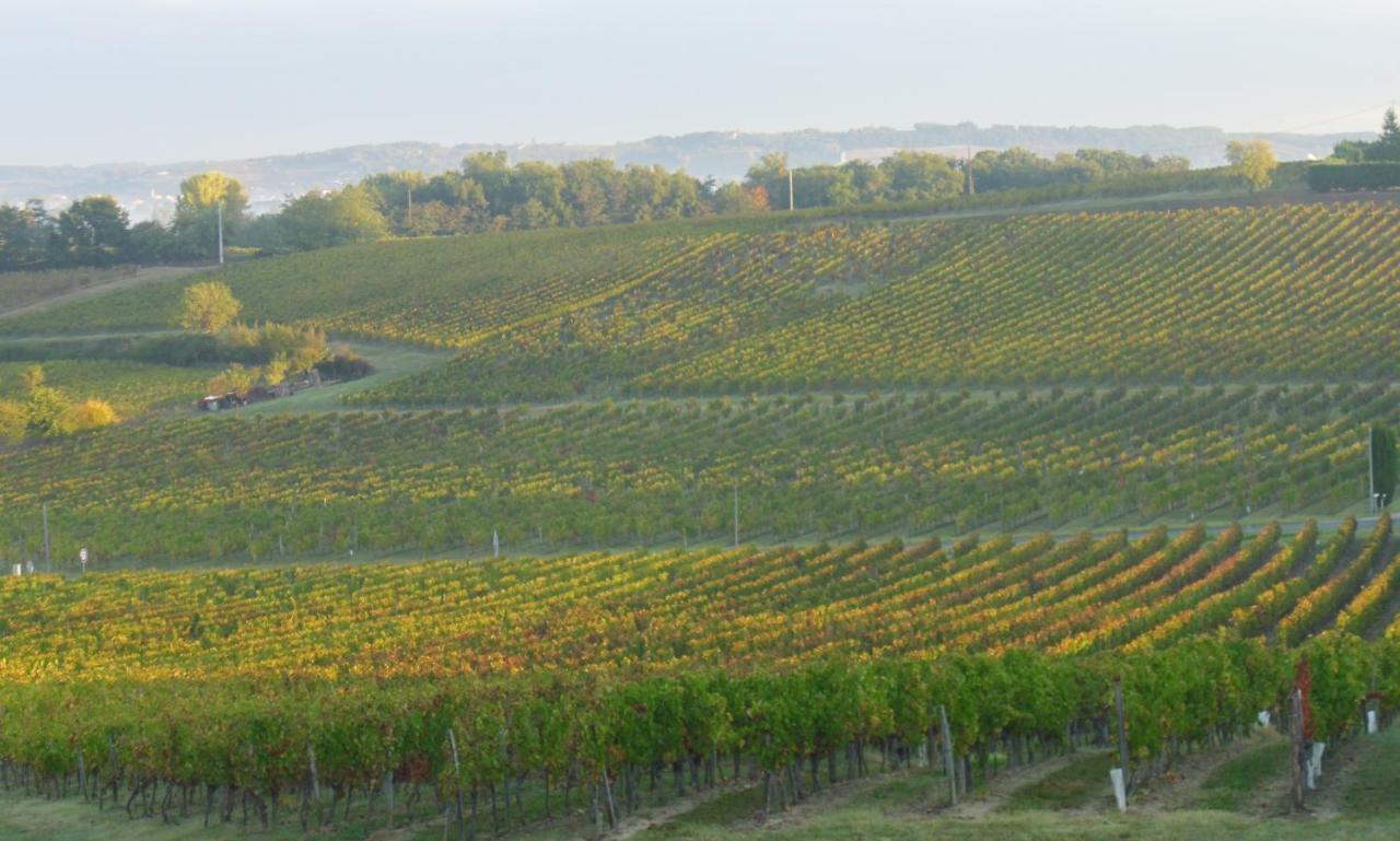 Romantic Gite Nr St Emilion With Private Pool And Views To Die For Pujols  المظهر الخارجي الصورة