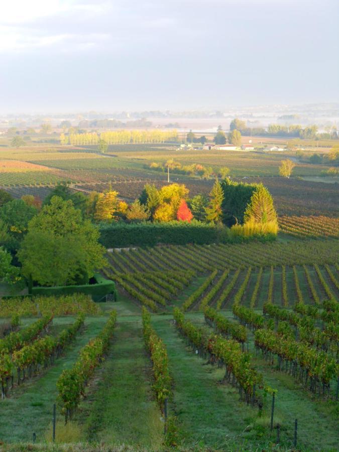 Romantic Gite Nr St Emilion With Private Pool And Views To Die For Pujols  المظهر الخارجي الصورة