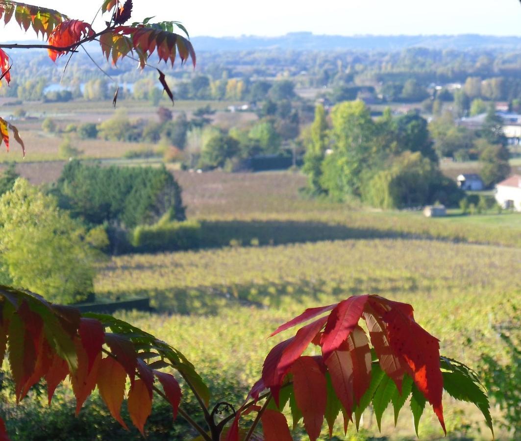 Romantic Gite Nr St Emilion With Private Pool And Views To Die For Pujols  المظهر الخارجي الصورة