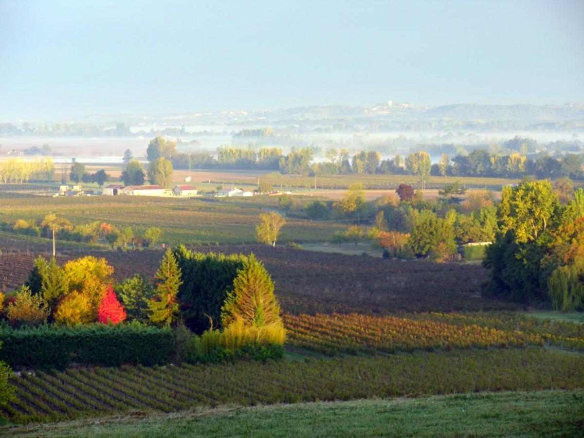 Romantic Gite Nr St Emilion With Private Pool And Views To Die For Pujols  المظهر الخارجي الصورة