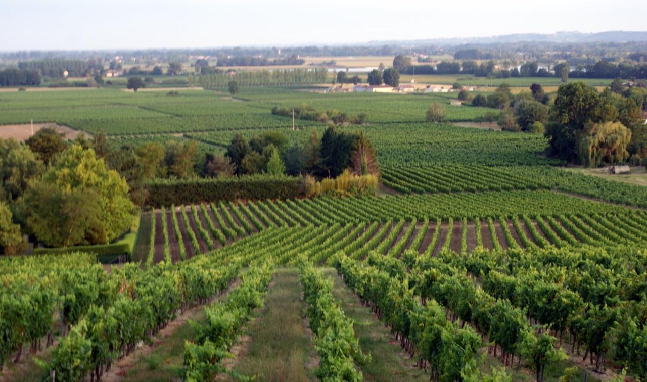 Romantic Gite Nr St Emilion With Private Pool And Views To Die For Pujols  المظهر الخارجي الصورة